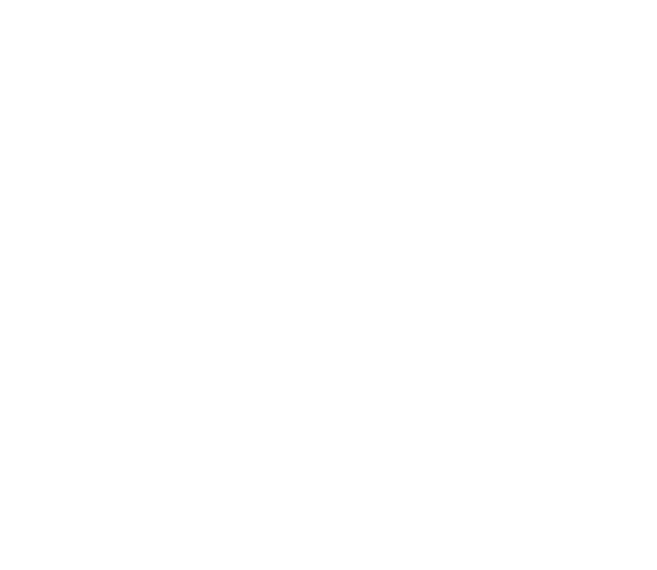 Flat World RVX